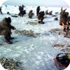 Мартовская рыбалка на корюшку в Финском заливе